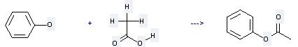Phenyl  can be prepared by acetic acid and phenol at the ambient temperature